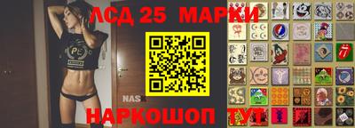 прущие грибы Нальчик