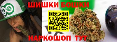прущие грибы Нальчик