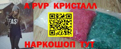 прущие грибы Нальчик