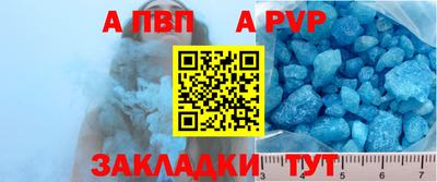 прущие грибы Нальчик