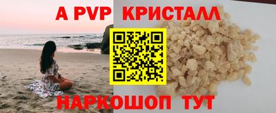 прущие грибы Нальчик