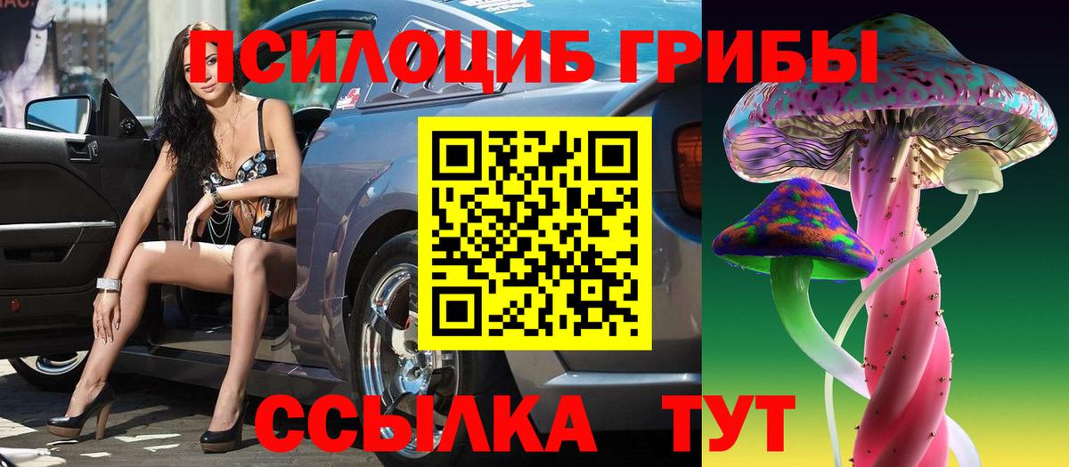Псилоцибиновые грибы ЛСД Тверь